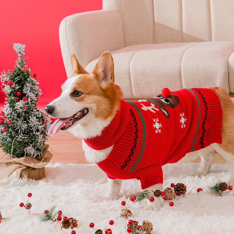 Hunde-Weihnachtspullover