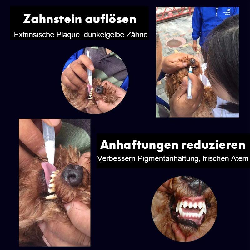 Haustier Hund / Katze Zähne Reinigungsstift